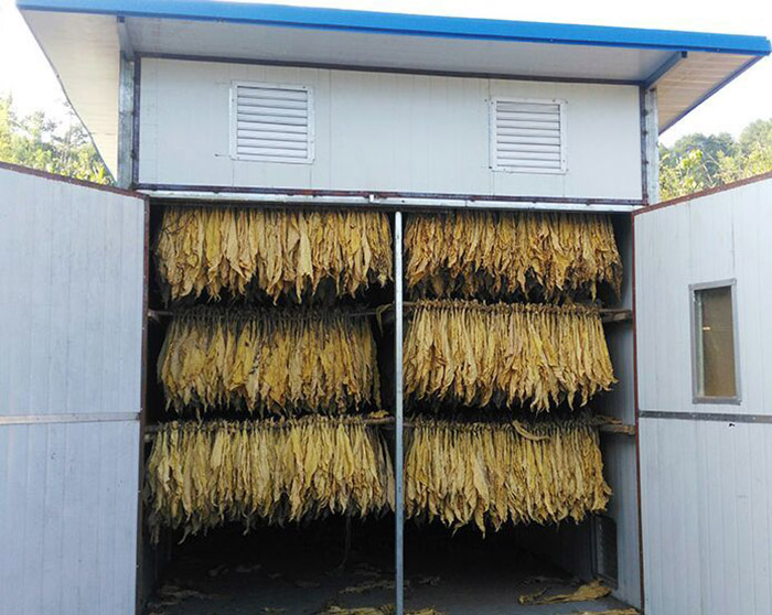 �՚�Դ��ß��ݺ��