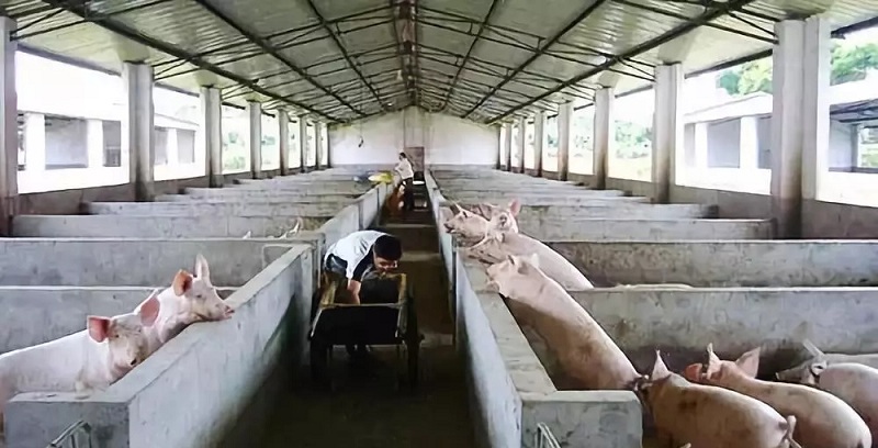 �i���՚�Դ��õ�ů����